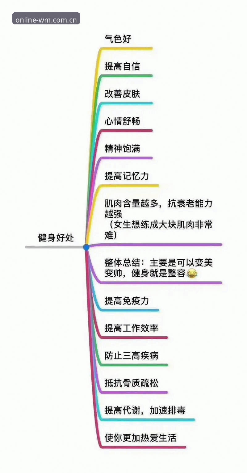 完美体育苹果版用户必知的5个核心功能与体验提升技巧